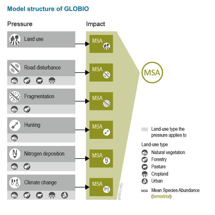 Schematic presentation of the GLOBIO model
